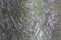 Wooperton fibreglass roof work